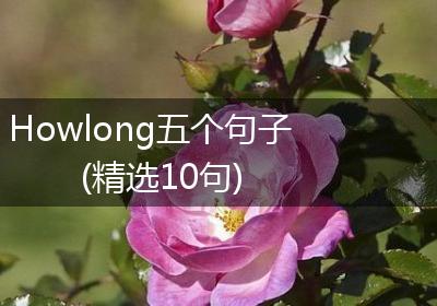 Howlong五个句子(精选10句)