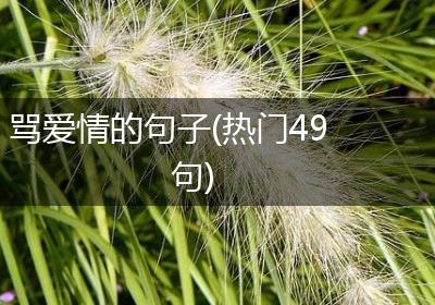 骂爱情的句子(热门49句)