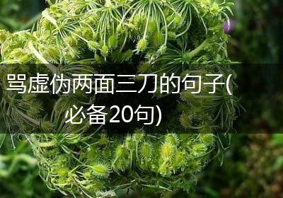 骂虚伪两面三刀的句子(必备20句)
