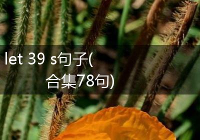 let 39 s句子(合集78句)