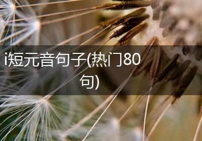 i短元音句子(热门80句)
