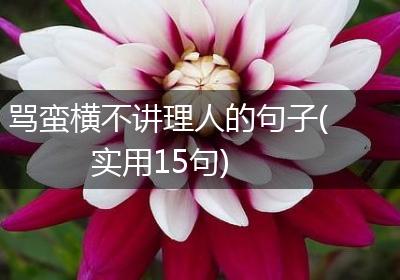 骂蛮横不讲理人的句子(实用15句)