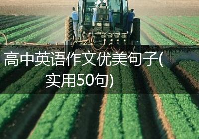高中英语作文优美句子(实用50句)