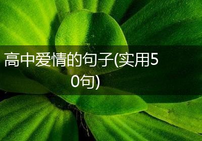 高中爱情的句子(实用50句)