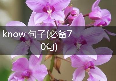 know 句子(必备70句)