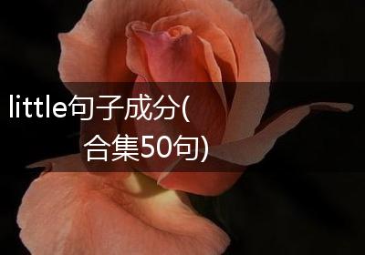 little句子成分(合集50句)