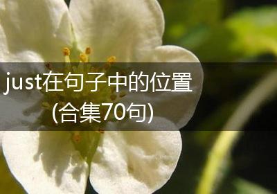 just在句子中的位置(合集70句)