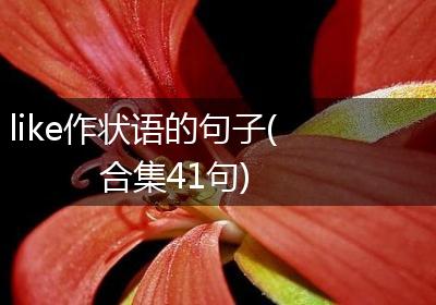 like作状语的句子(合集41句)