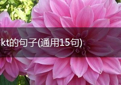 kt的句子(通用15句)