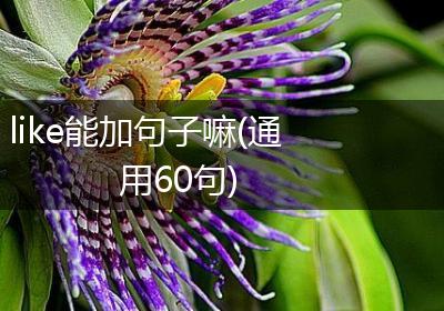 like能加句子嘛(通用60句)