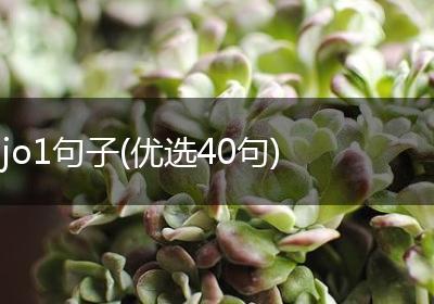 jo1句子(优选40句)