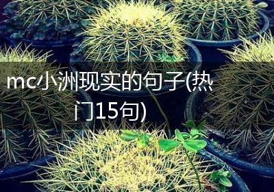 mc小洲现实的句子(热门15句)