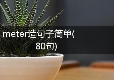 meter造句子简单(80句)