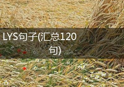 LYS句子(汇总120句)