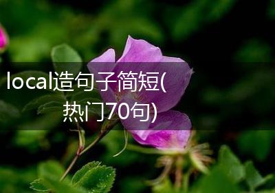 local造句子简短(热门70句)
