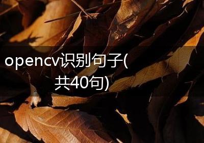 opencv识别句子(共40句)