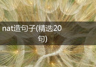 nat造句子(精选20句)