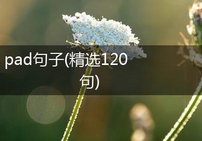 pad句子(精选120句)