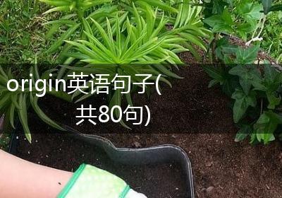 origin英语句子(共80句)