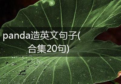 panda造英文句子(合集20句)