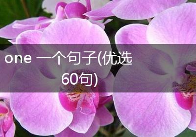one 一个句子(优选60句)
