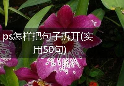 ps怎样把句子拆开(实用50句)