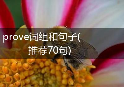 prove词组和句子(推荐70句)