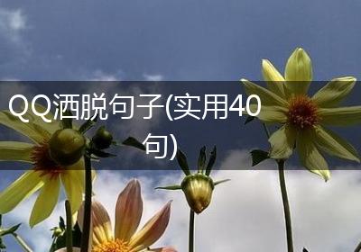 QQ洒脱句子(实用40句)