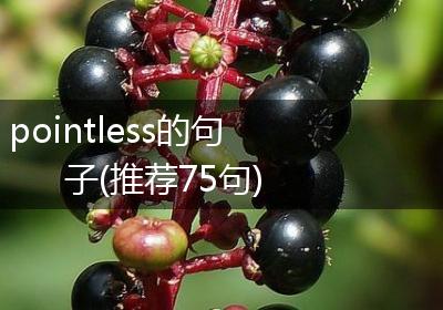 pointless的句子(推荐75句)