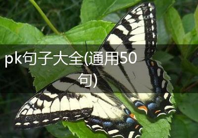pk句子大全(通用50句)