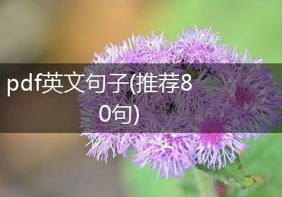 pdf英文句子(推荐80句)