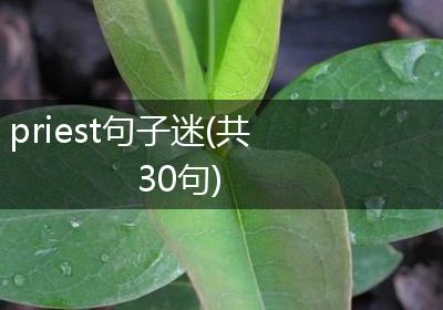 priest句子迷(共30句)