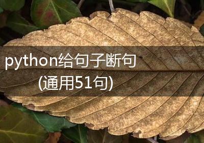 python给句子断句(通用51句)