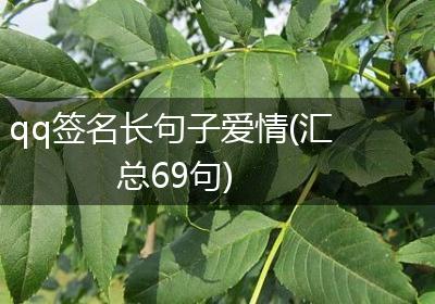 qq签名长句子爱情(汇总69句)