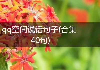 qq空间说话句子(合集40句)