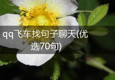 qq飞车找句子聊天(优选70句)