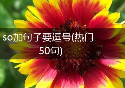 so加句子要逗号(热门50句)