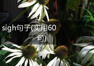 sigh句子(实用60句)