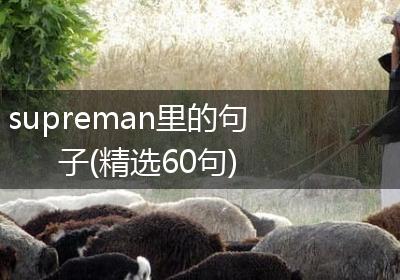 supreman里的句子(精选60句)