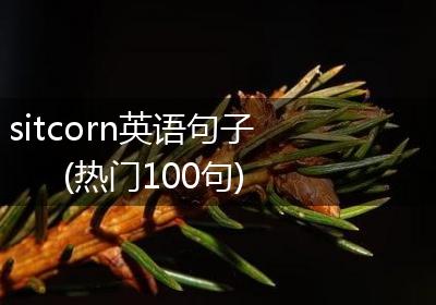 sitcorn英语句子(热门100句)