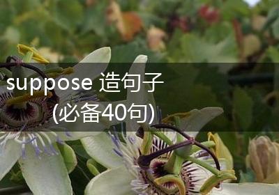 suppose 造句子(必备40句)