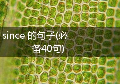 since 的句子(必备40句)