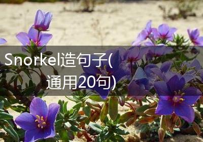 Snorkel造句子(通用20句)
