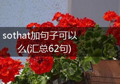 sothat加句子可以么(汇总62句)