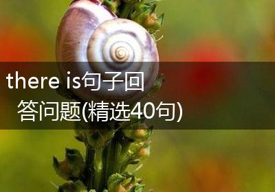 there is句子回答问题(精选40句)