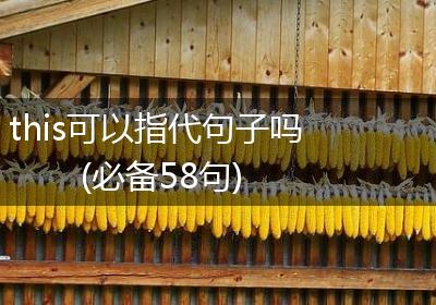 this可以指代句子吗(必备58句)