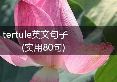 tertule英文句子(实用80句)