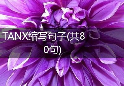 TANX缩写句子(共80句)
