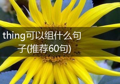 thing可以组什么句子(推荐60句)