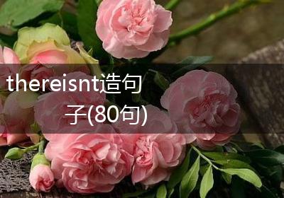 thereisnt造句子(80句)